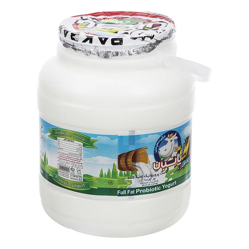ماست 2000 گرمی پرچرب پروبیوتیک پاکبان