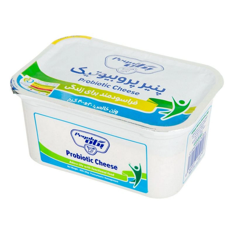 پنیر پرو بیوتیک تبریز 400 گ پگاه