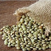 عدس فله اعلا_0.5کیلو