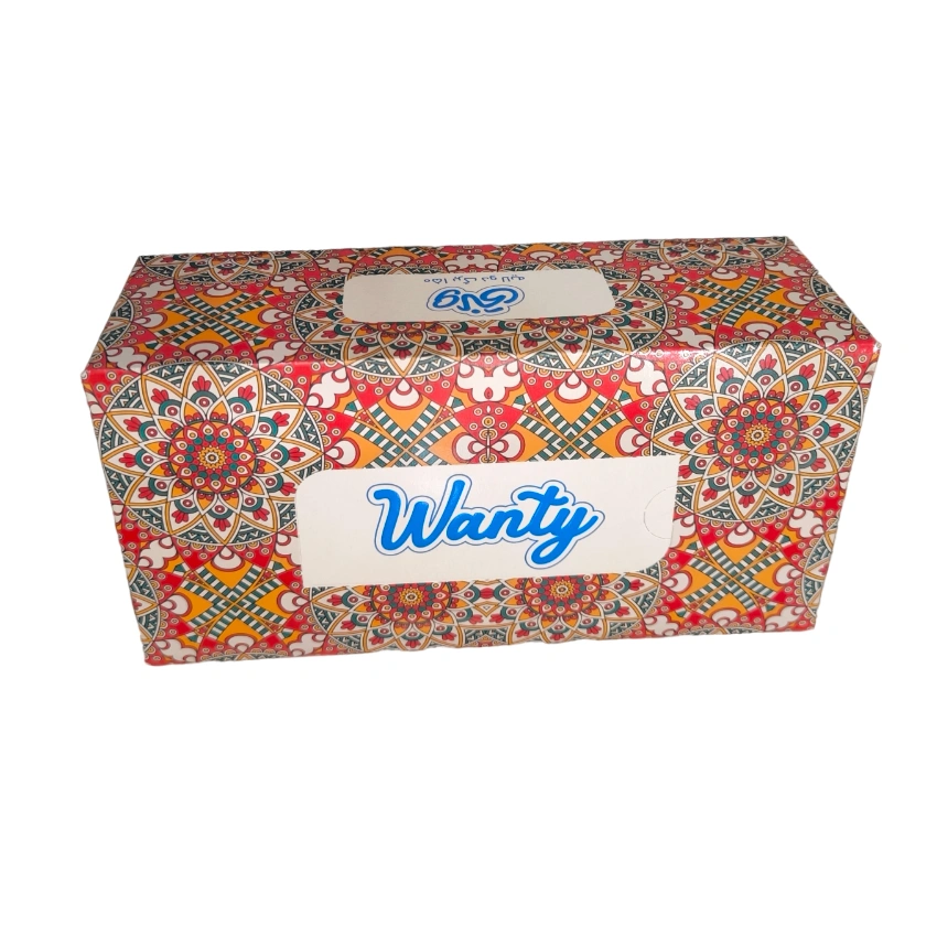 دستمال کاغذی 150برگ دولایه ونتی