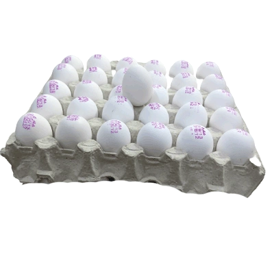 تخم مرغ شانه ای