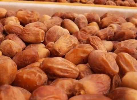 خرما خشک فله_0.5کیلو
