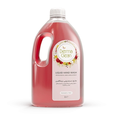 مایع دستشویی رایحه عناب 2لیتری درماکلین