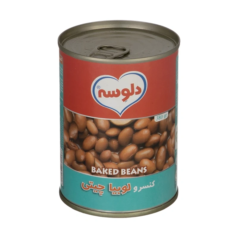 کنسرو لوبیا چیتی 380گرم دلوسه