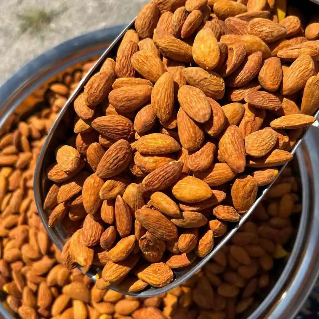 مغز بادام درختی شور/خام