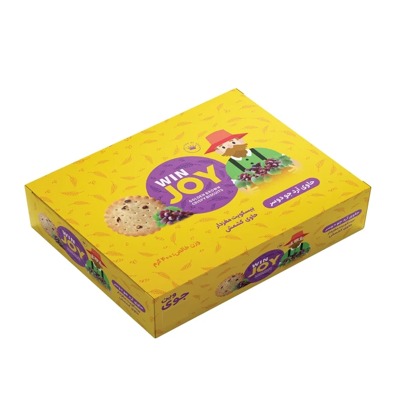 بیسکویت مغزدار با تکه های کشمش 400گ وین جوی