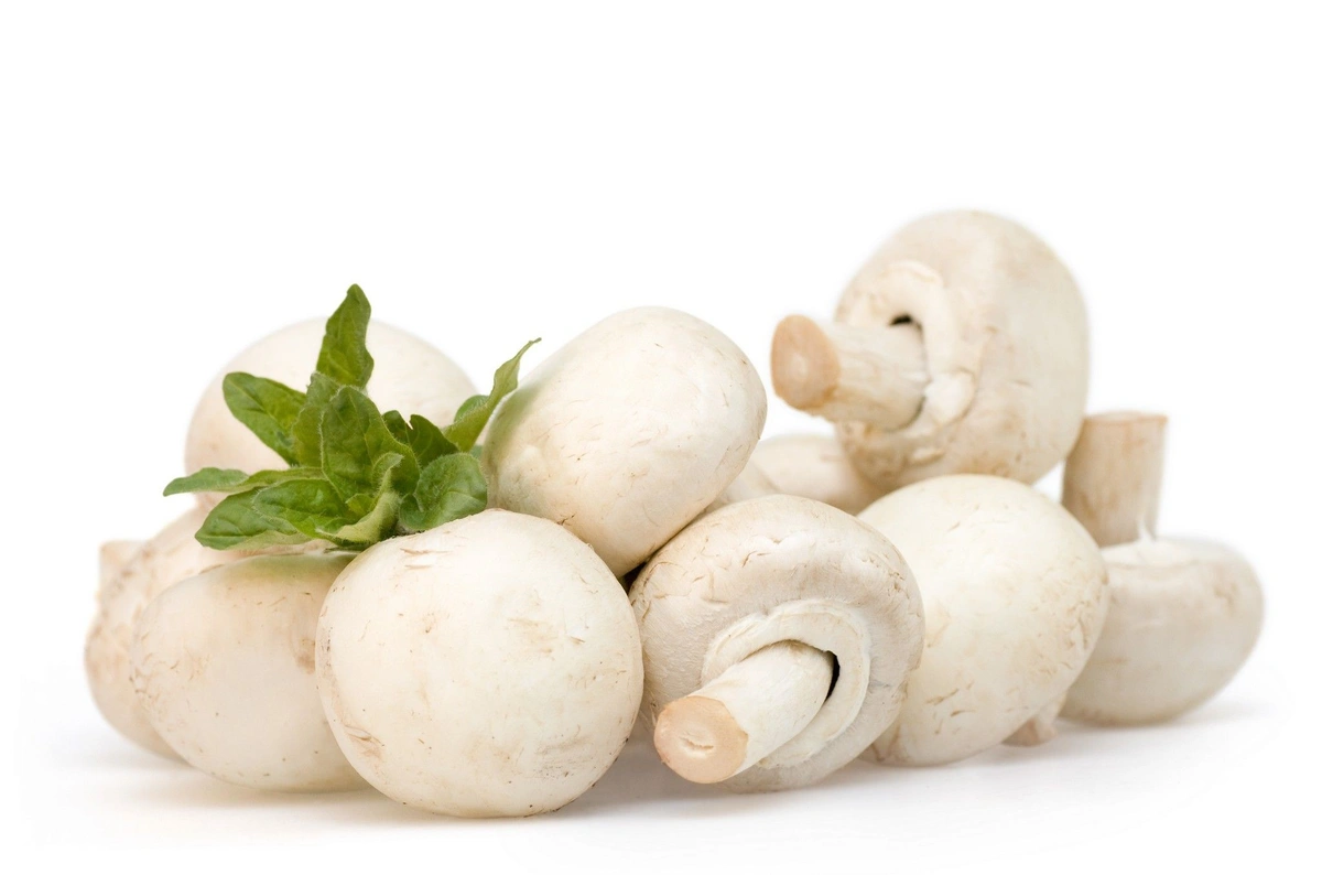 قارچ فله ای