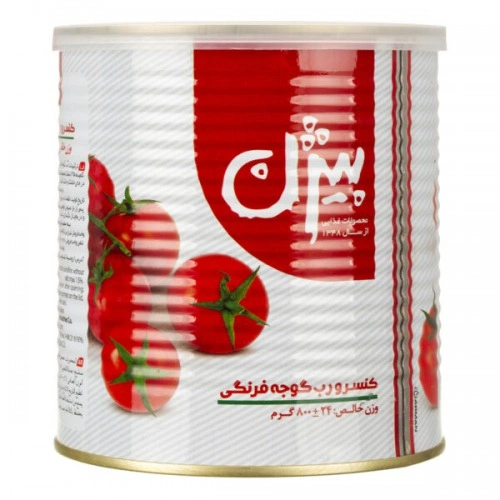 کنسرو رب گوجه 800گ بیژن