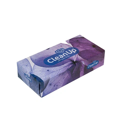 دستمال 200برگ سافت اند کلین