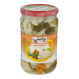 ترشی مخلوط شور670گ چاشنی