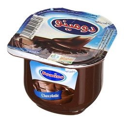 دسر ظرفی 100گ دومینو