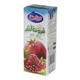 نکتار انار 200 سی سی  فروت لند میهن