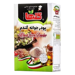 پودر جوانه گندم 200گ گلها