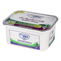 پنیر سین بیوتیک 400گ پگاه