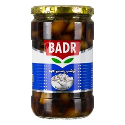 ترشی سیر حبه بدر650گ