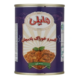 کنسرو خوراک بادمجان 380گرم هایلی