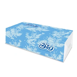 دستمال کاغذی 250برگ ونتی