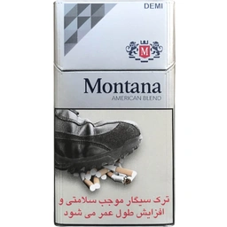 مونتانا دمی نقره ای