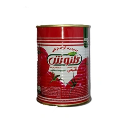 رب گوجه فرنگی400گرم گلنوش