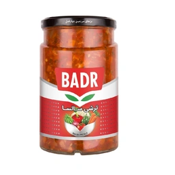 ترشی مخلوط با سس سالسا 640 گ بدر