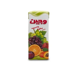 نوشیدنی مخلوط میوه 200میل وجین