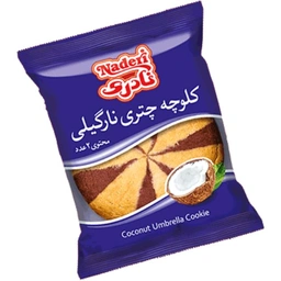 کلوچه چتری نارگیلی نادری