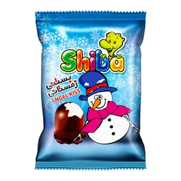 بستنی زمستانی شیبابا