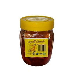 عسل گون 500گرم کوهساران
