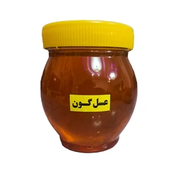 عسل گون 500گرم کوهساران