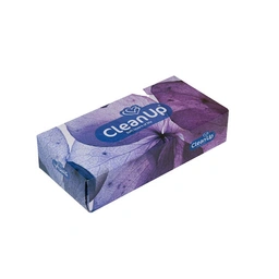 دستمال 200برگ سافت اند کلین