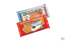 بیسکویت نیم چاشت دو تایی گرجی